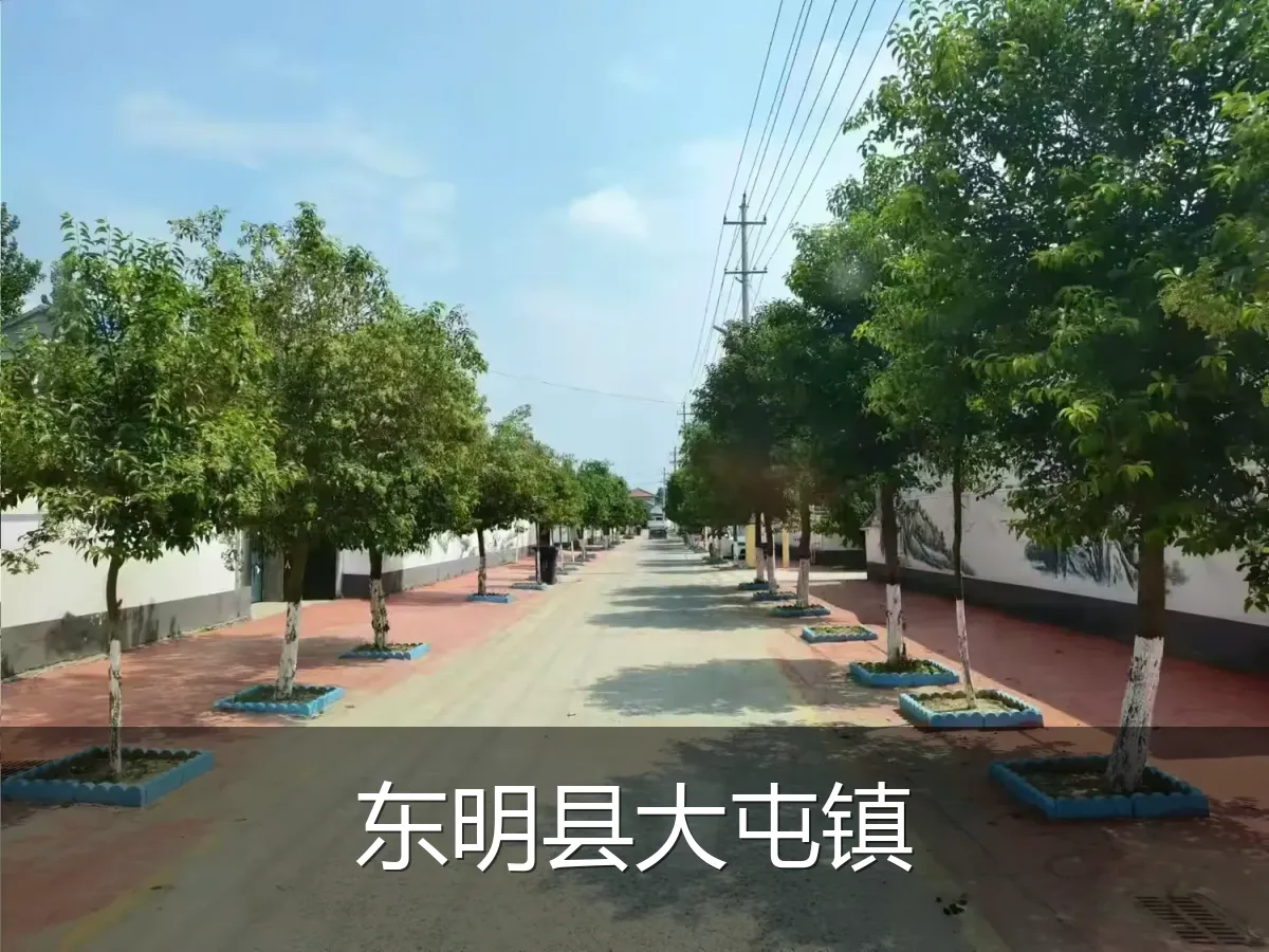 东明县大屯镇