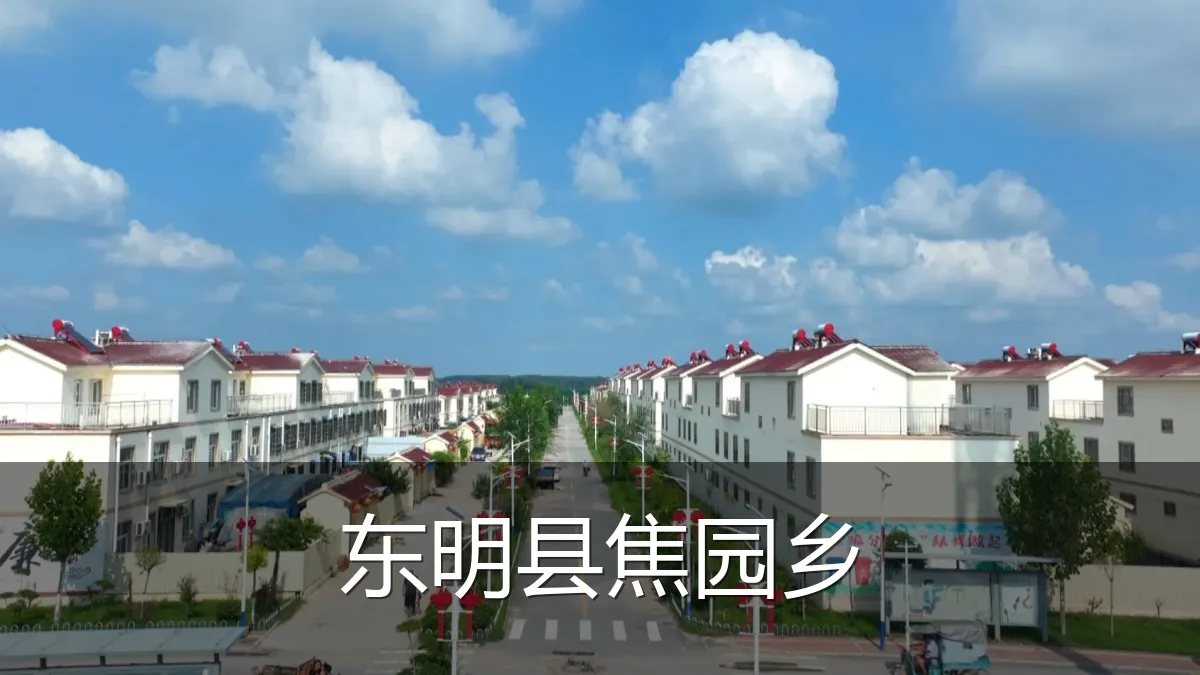 东明县焦园乡