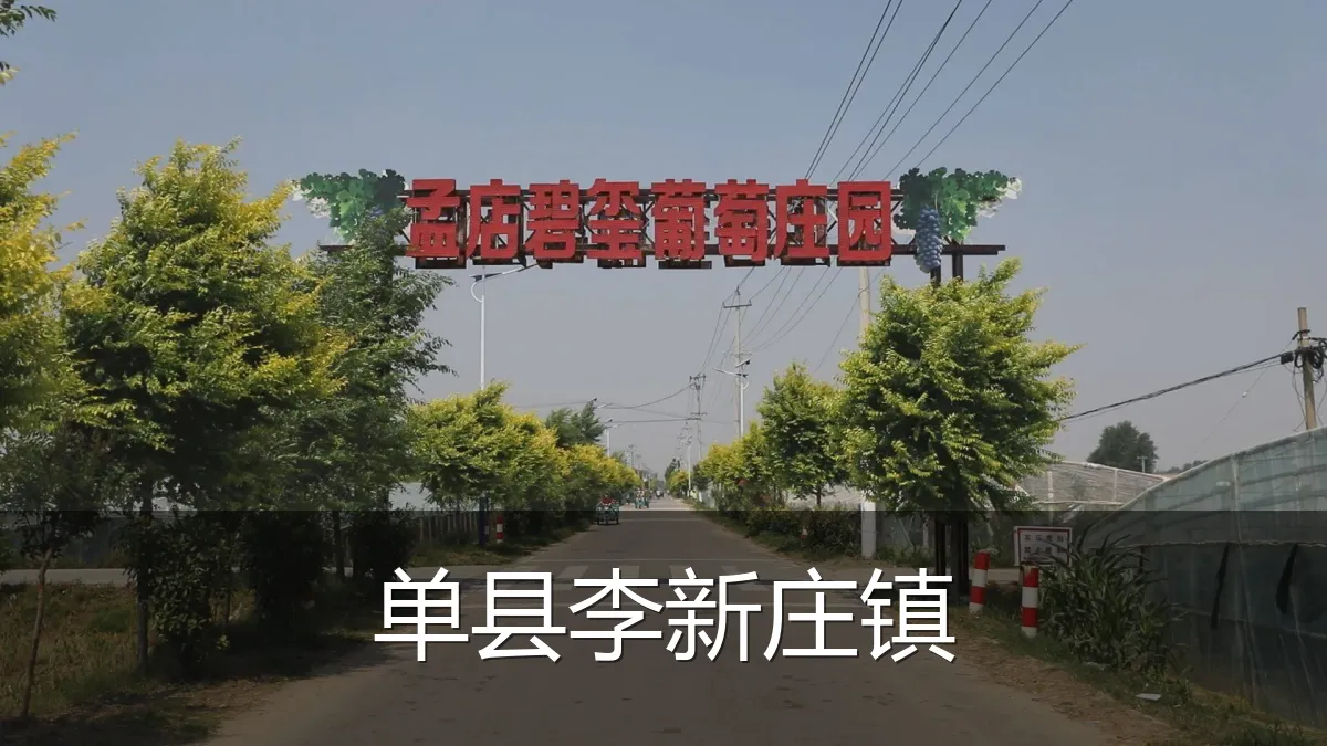 单县李新庄镇