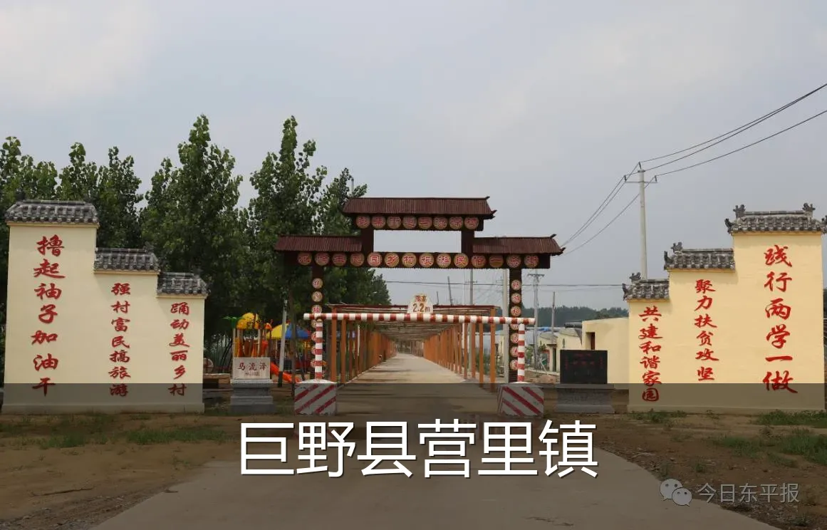 巨野县营里镇