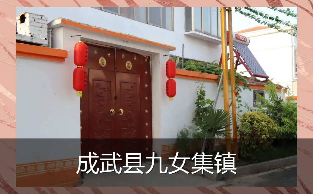 成武县九女集镇