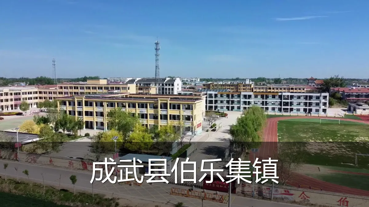 成武县伯乐集镇