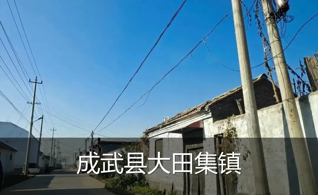 成武县大田集镇