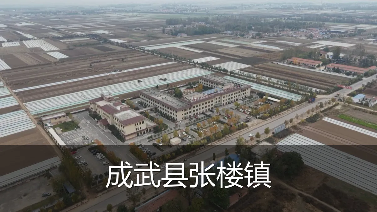 成武县张楼镇