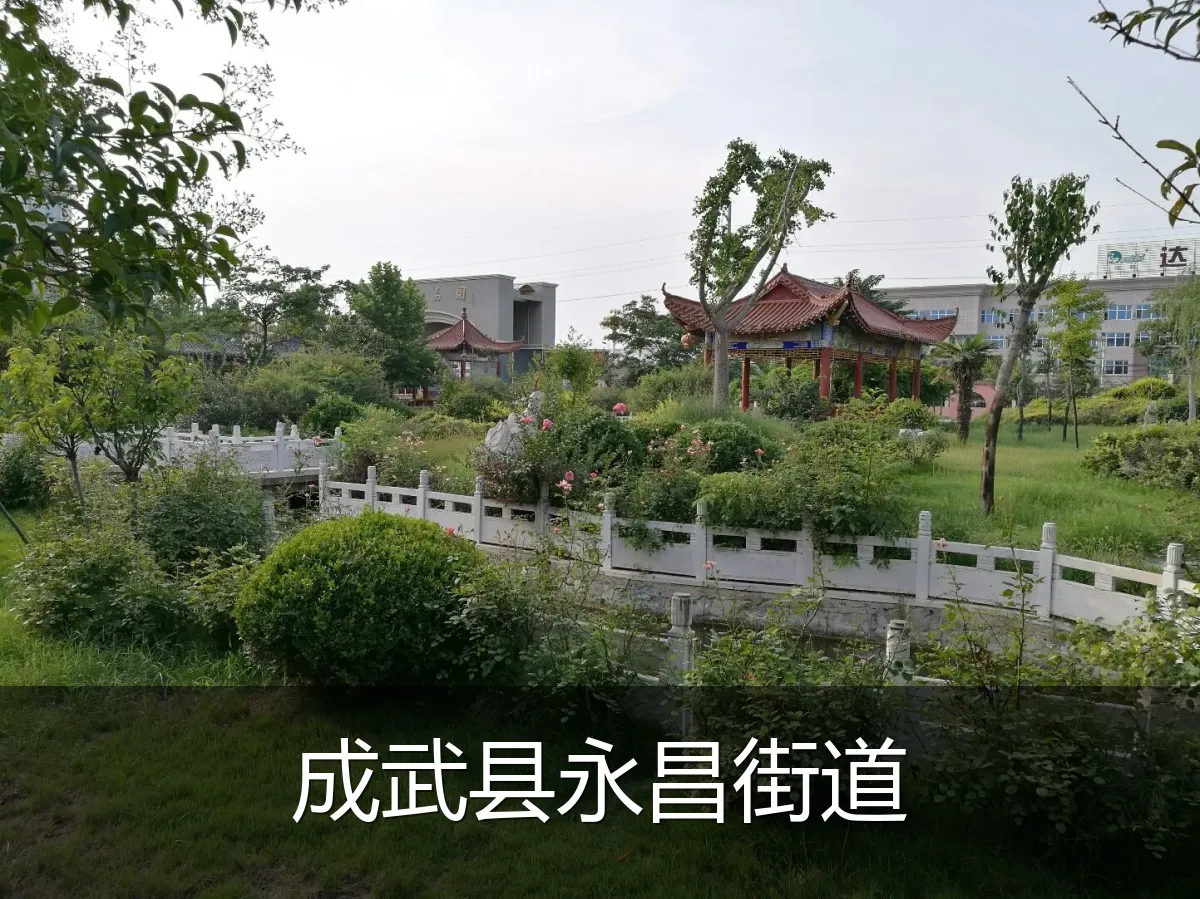 成武县永昌街道