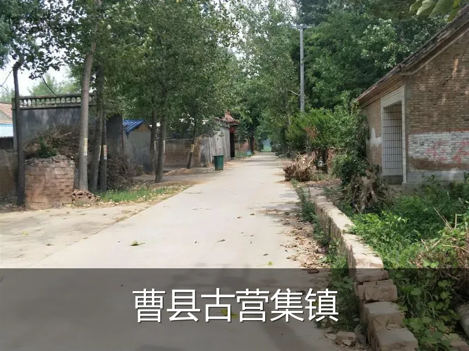 曹县古营集镇