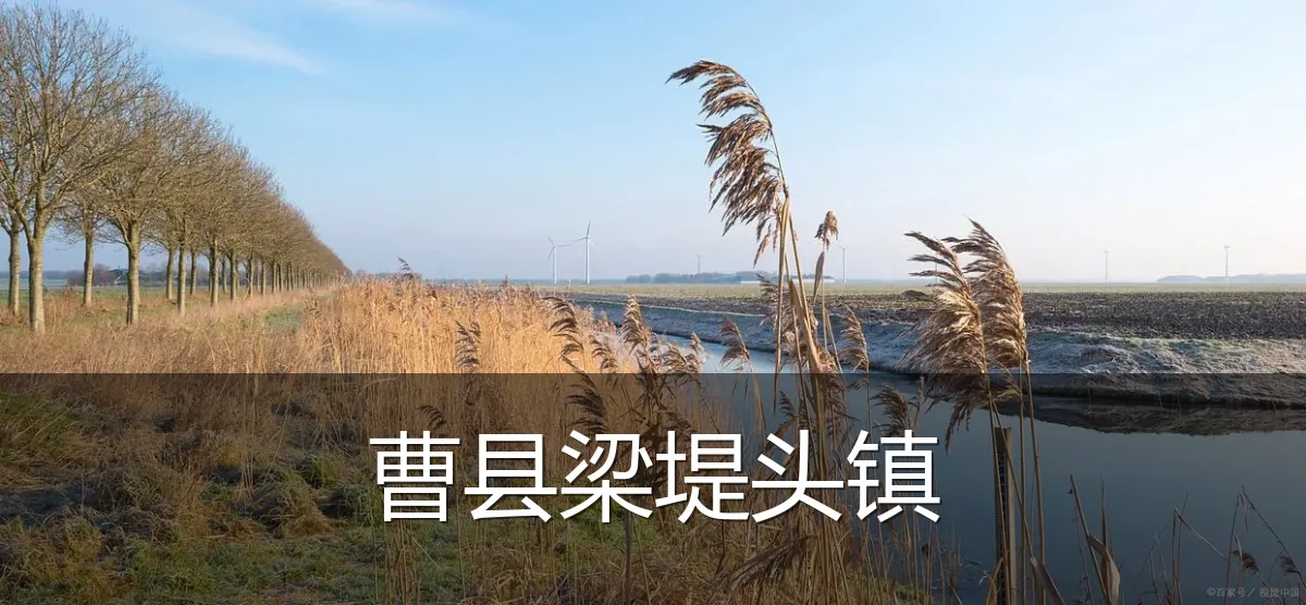 曹县梁堤头镇