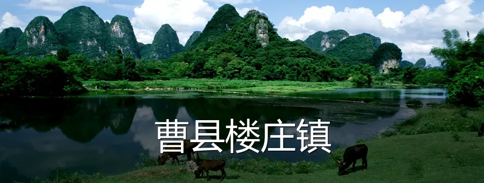 曹县楼庄镇