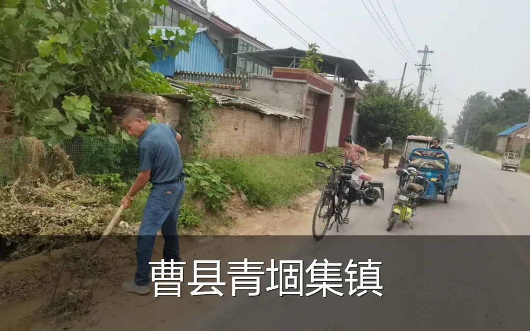 曹县青堌集镇