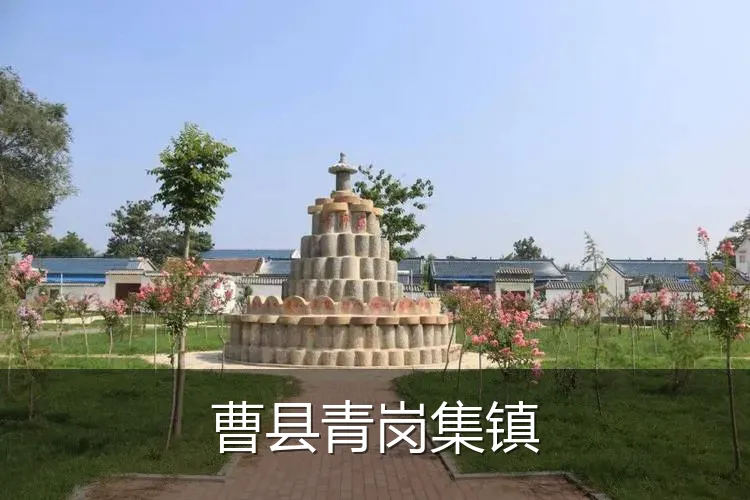 曹县青岗集镇