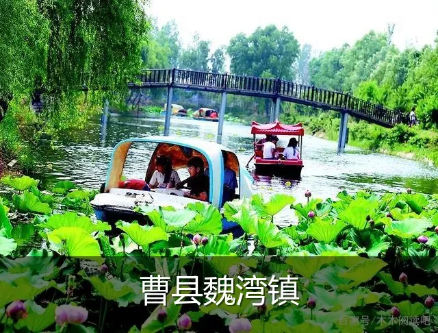 曹县魏湾镇