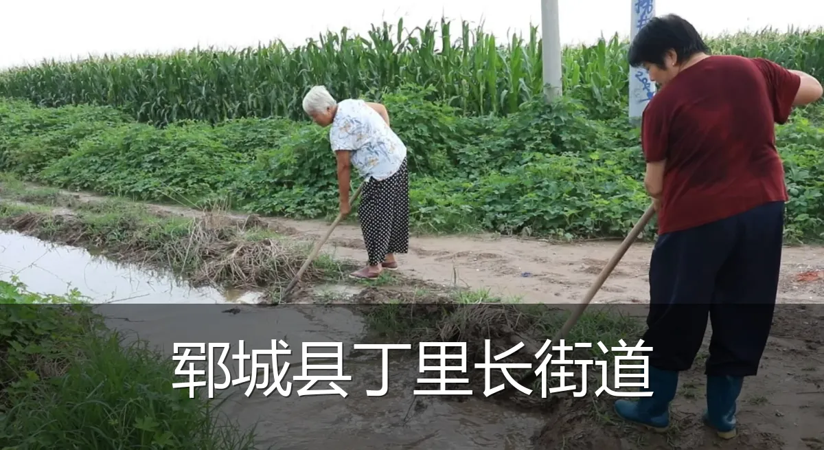 郓城县丁里长街道