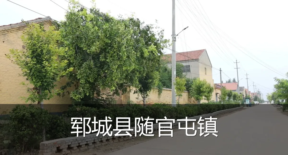 郓城县随官屯镇