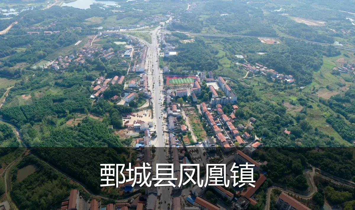 鄄城县凤凰镇