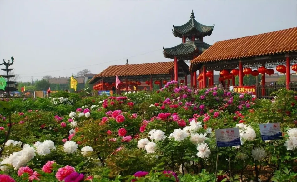菏泽菏泽移动宽带